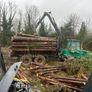 Timber jack 1110D Image 2