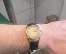 Sully Watch Felsa 465 movement
