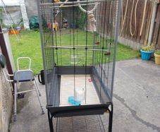 bird cage