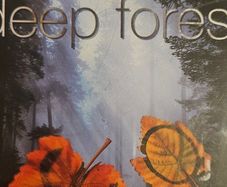 Deep Forest - Boheme.