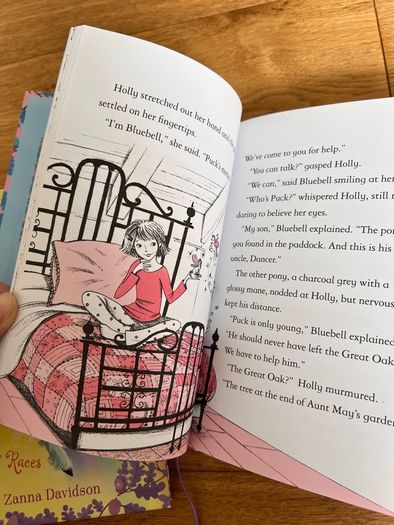 Fairy Ponies books x 4 (Usborne Young Readers)
