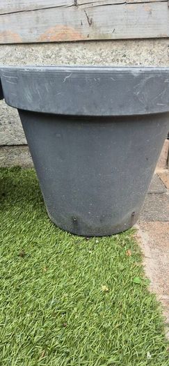 large flower pot
