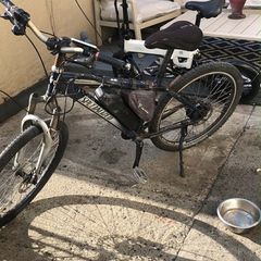 Electric bike