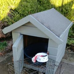 Dog Kennel