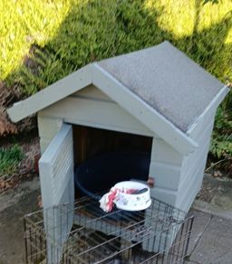 Dog Kennel