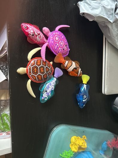 fish tank