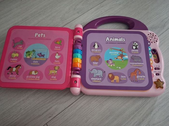 Leapfrog 100 words activity book
