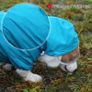 Dog Raincoat Waterproof Jacket with Hood & Collar Hole Transparent Brim,Ultra-Light Breathable Reflective Jumpsuit for Short-legged Dogs Corgi Dachshund xs,s,m,L,XL Image 6