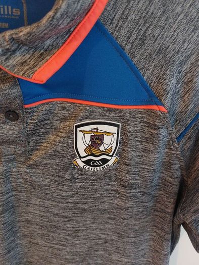 galway gaa polo