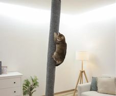 Climber Carpet for Cats