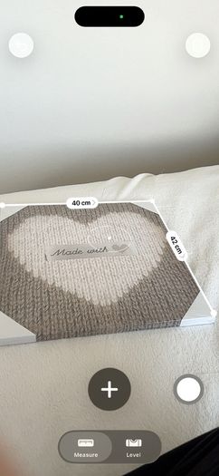 Canvas Heart Print