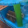 Hamster Cage with Accessories Image 7