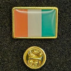 Irish flag ,  pin back badge.