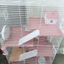 Hamster cage Image 2