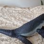 Jurassic World Toys, Mosasaurus Image 8