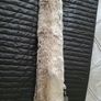 Ladies "Fur" Scarf or Collar Image 5