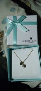 knight and day necklace