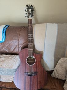 12 string Guitar with built-in pickup