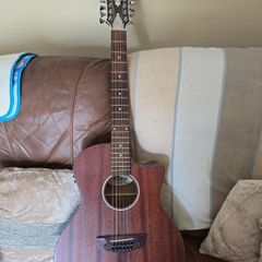 12 string Guitar with built-in pickup