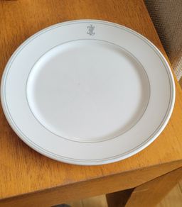 Comercial restaurant plates- dudson