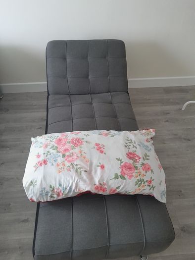 House Sofa/Bed FREE