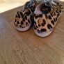 J Crew Leopard Trainers Image 7