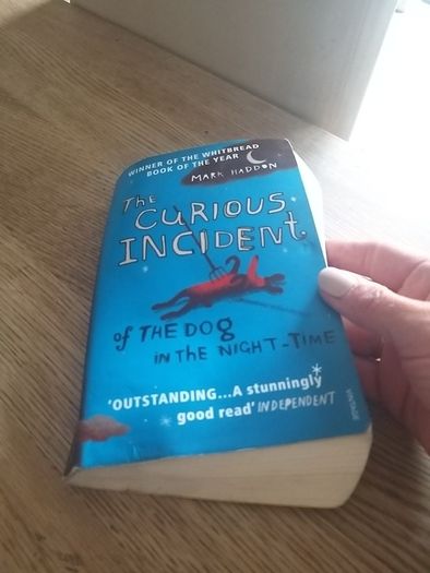 The curious incident of the dog in the night