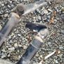 hiace van rear door struts Image 5