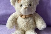 Play &amp; Learn White &amp; Cream Teddy Bear