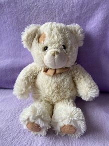 Play & Learn White & Cream Teddy Bear