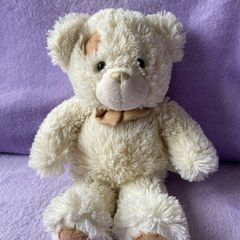 Play & Learn White & Cream Teddy Bear