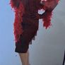 Roaring 20s Dress & Feather Stole Image 5