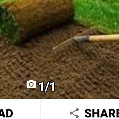 Artificial grass
