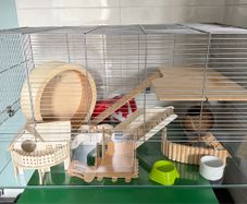 Hamster cage