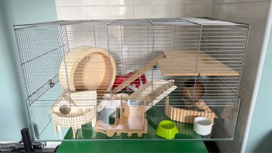 Hamster cage