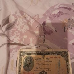 old irish 1 pound note from 1975
