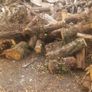 Firewood  For Sale Image 7