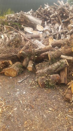 Firewood  For Sale