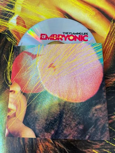 The Flaming Lips - Embryonic