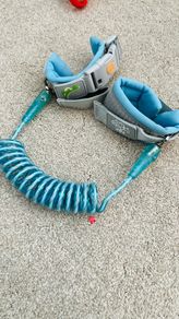 Toddler wrist rein
