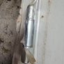 Hardwood External Door Image 4