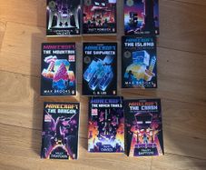 Minecraft books
