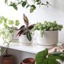 Brand New LE TAUCI 3-pack ceramic flower pots, 11 + 13 + 17 cm diameter small planter set, Image 3