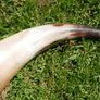 Vintage Hunting Horn 12" Image 7