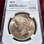 1925 Peace Dollar NCG Slabbed Original Purple/ Champagne Toning Image 2