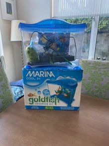 Goldfish Aquarium