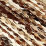 Rug Genuine Hair-on Leather 120x170 cm Brown/White Image 4