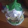 tinkerbell money box Image 6