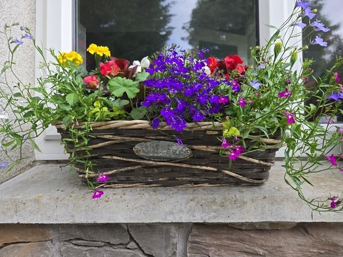 Wicker windows box