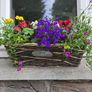 Wicker windows box Image 3